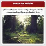 Puente Carbon River La finalización se estima dos años más allá debido a un estudio ambiental
