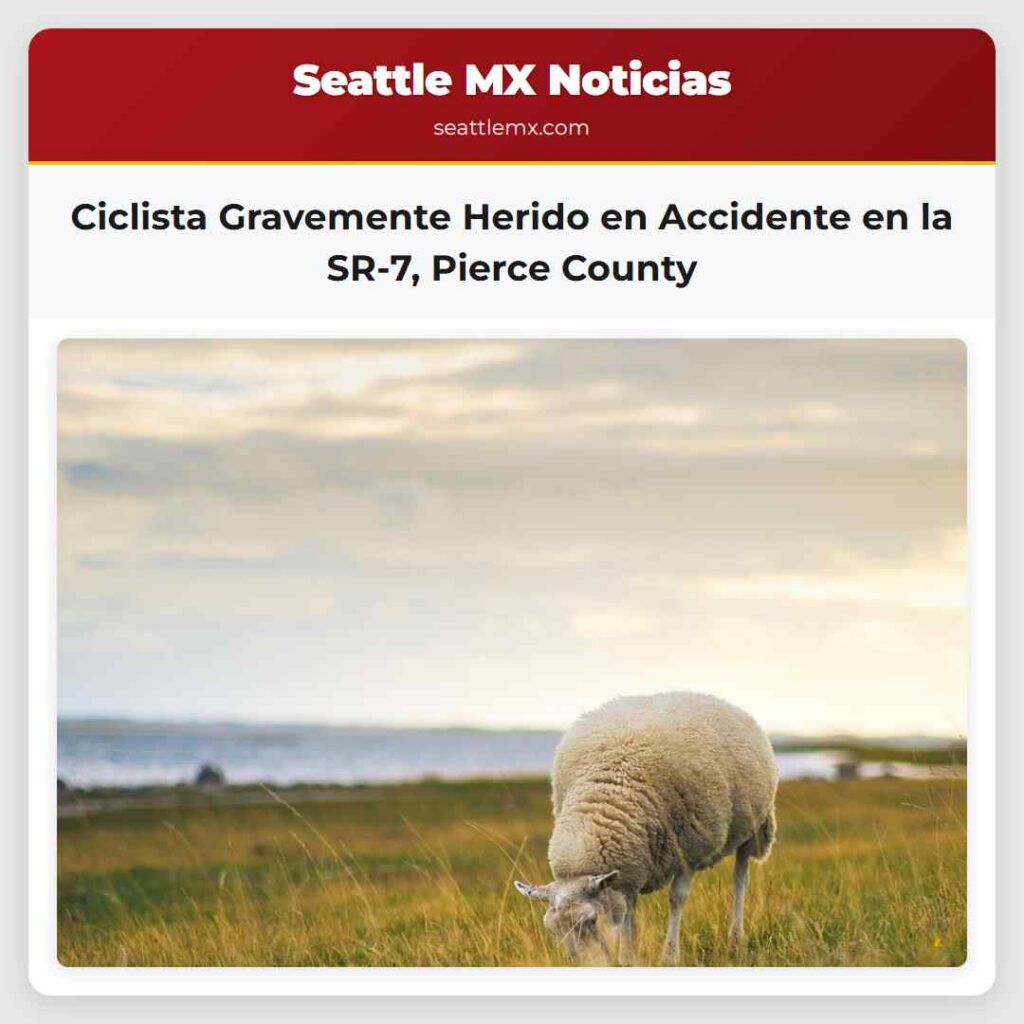 Ciclista Gravemente Herido en Accidente en la