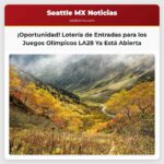 Juegos Olímpicos LA28 Inscripciones Abiertas para la Lotería de Entradas