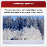 Arrestan a hombre con antecedentes por portar cuchillos en el International District-Chinatown de Seattle