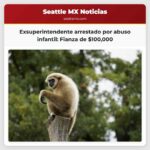 Se fija fianza de $100000 para exsuperintendente acusado de posesión de material de abuso infantil