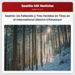 Un Fallecido y Tres Heridos en Tiros en el International District-Chinatown de Seattle