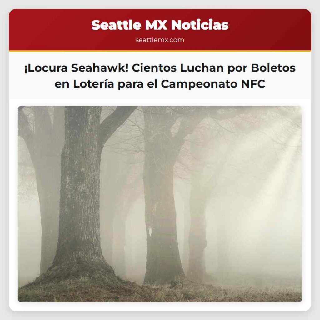 Noticias De Seattle 3 ¡Locura Seahawk! Cientos Luchan por Boletos en