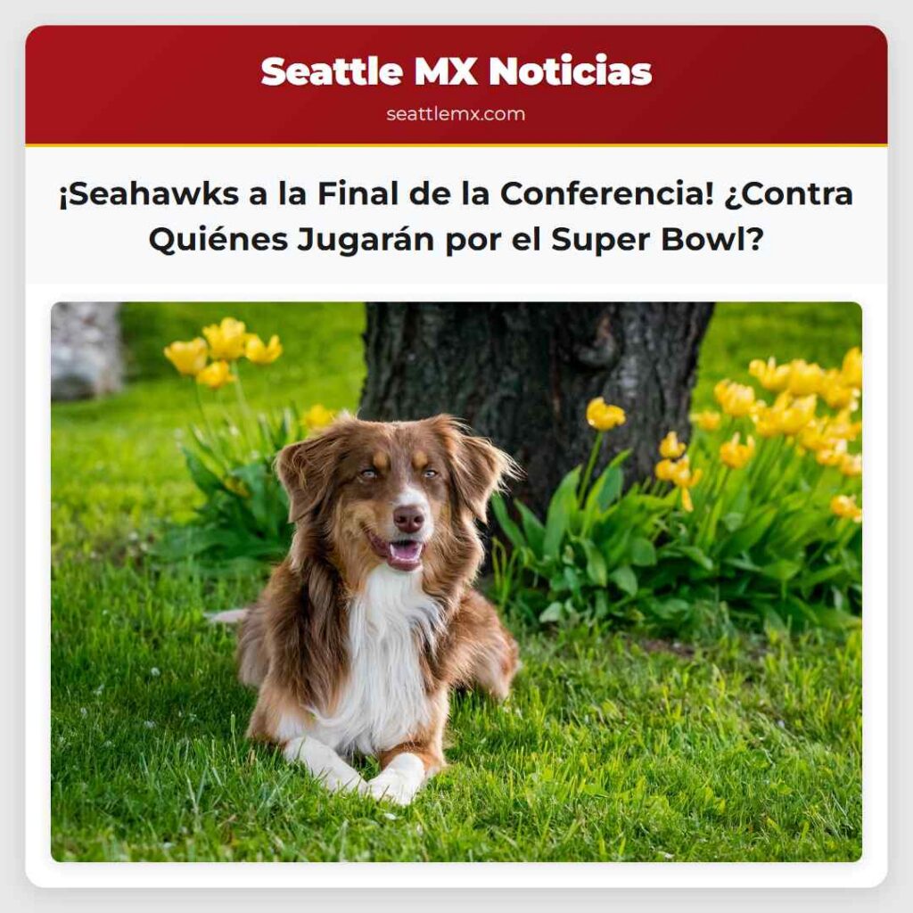 ¡Seahawks a la Final de la Conferencia! ¿Contra