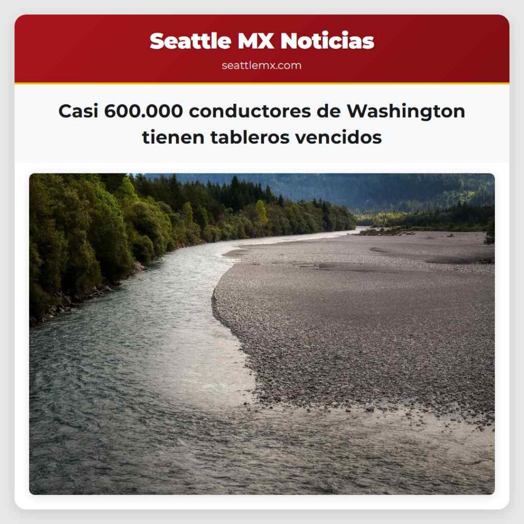 Casi 600.000 conductores de Washington tienen