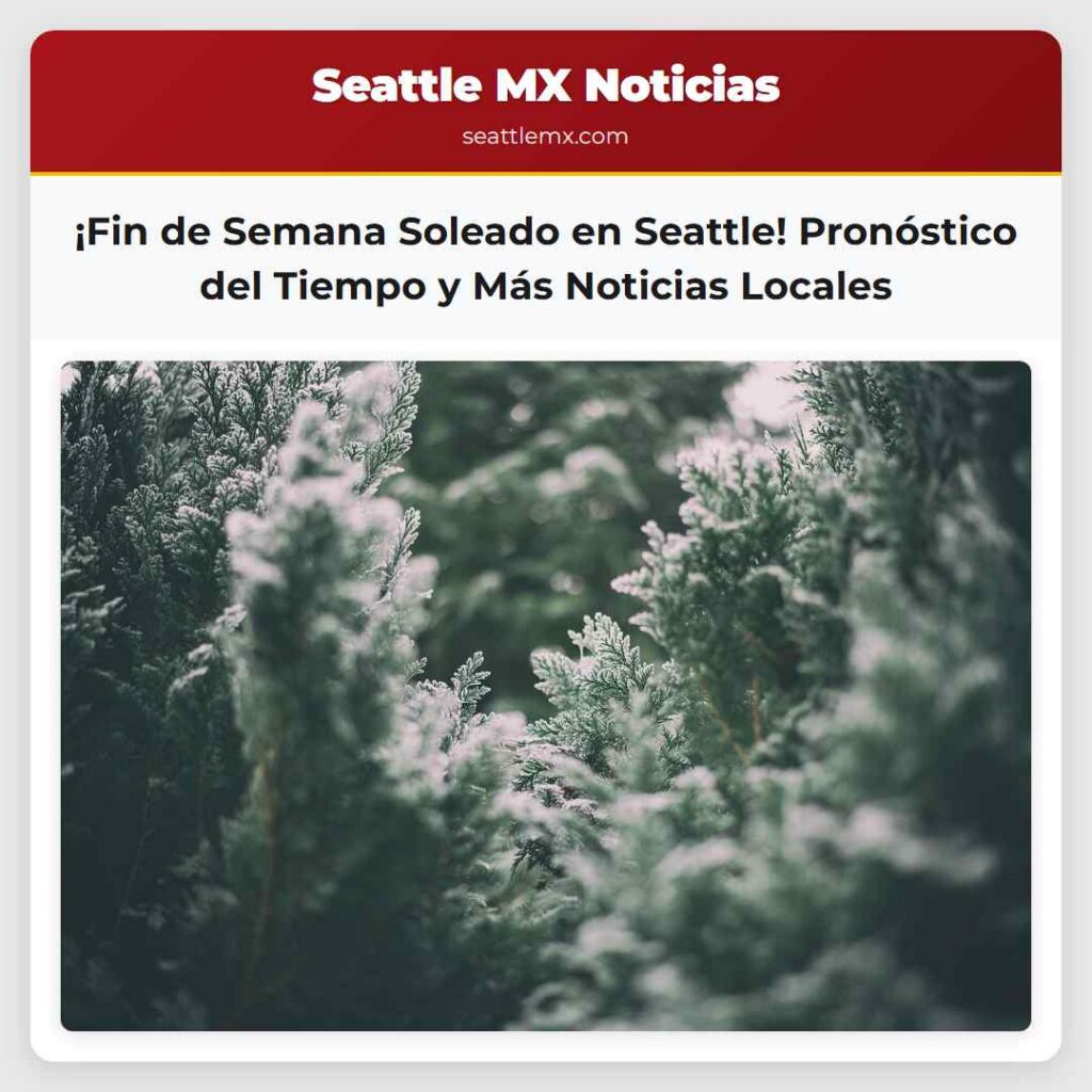¡Fin de Semana Soleado en Seattle! Pronóstico del