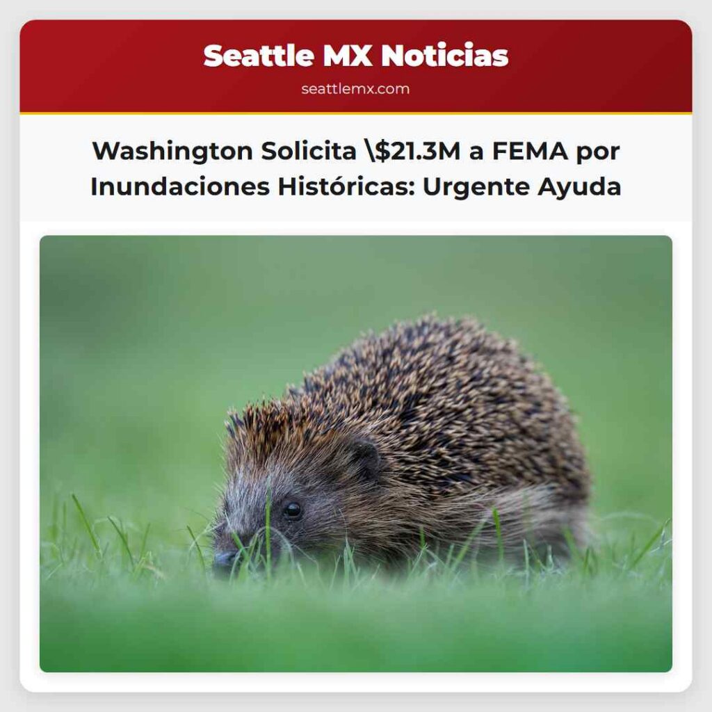 Washington Solicita $21.3M a FEMA por