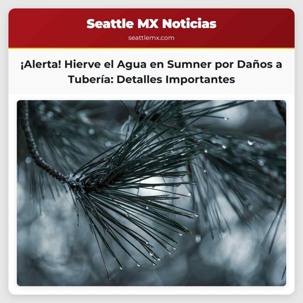 ¡Alerta! Hierve el Agua en Sumner por Daños a
