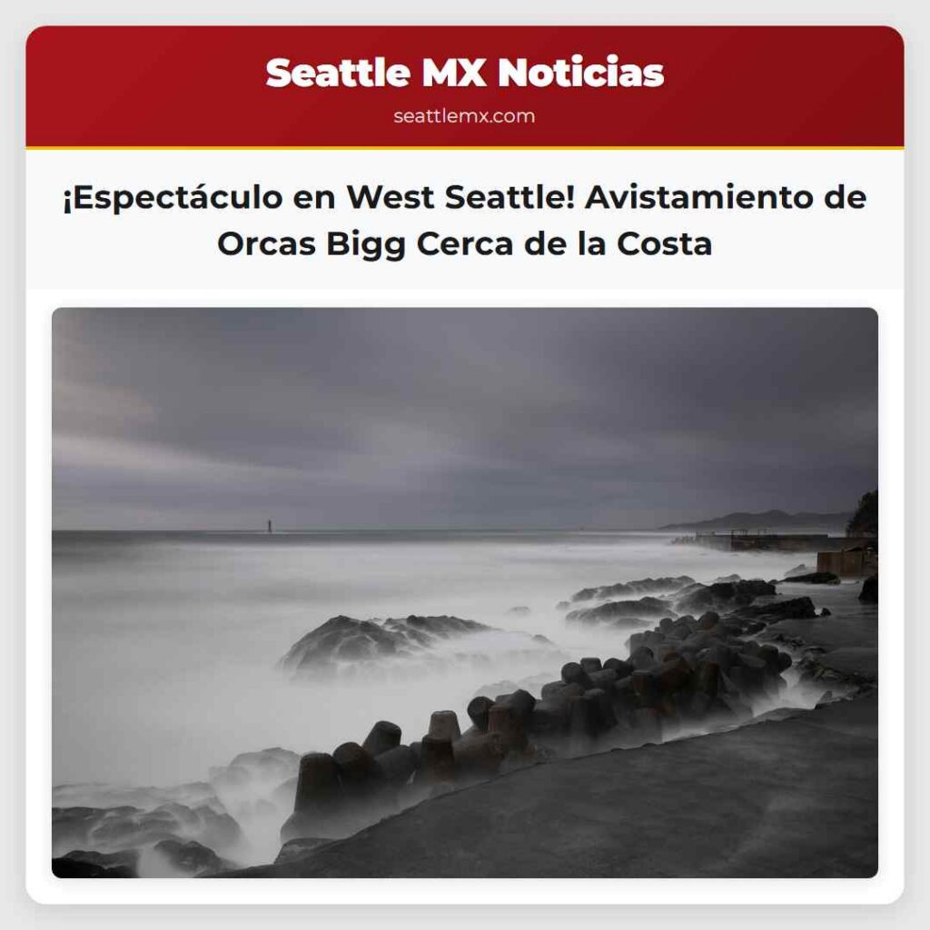 ¡Espectáculo en West Seattle! Avistamiento de