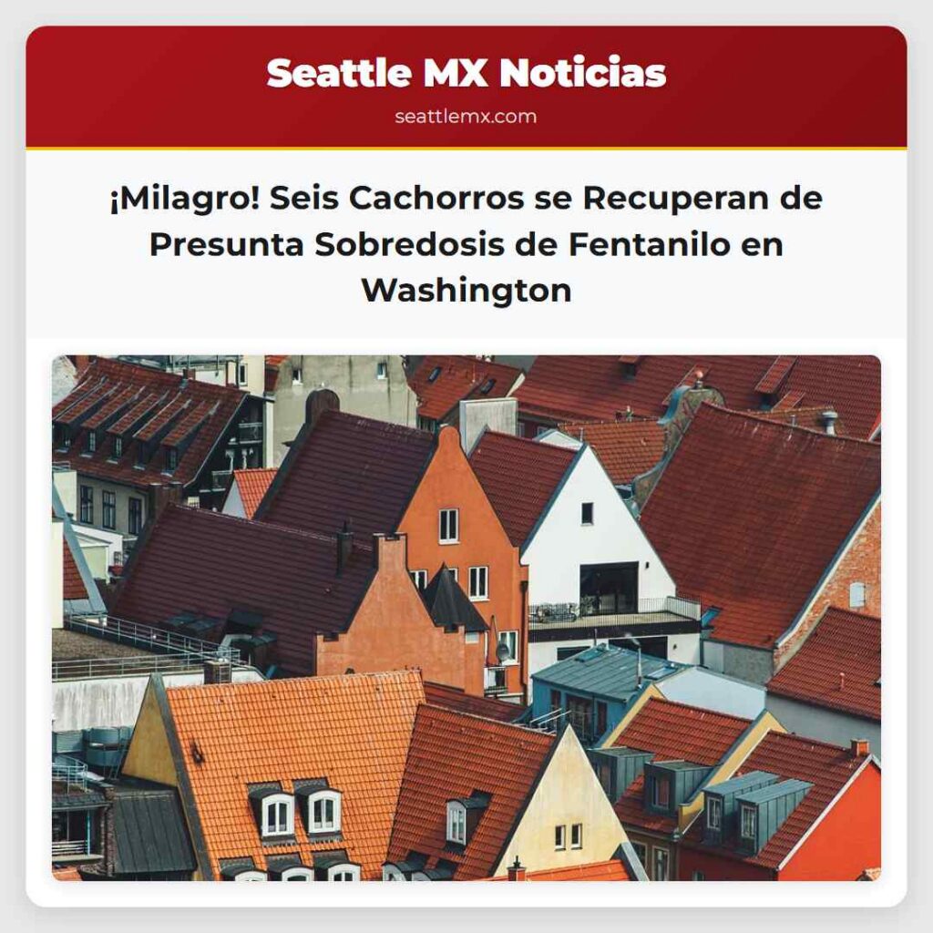 ¡Milagro! Seis Cachorros se Recuperan de Presunta