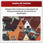 Seis Cachorros se Recuperan tras una Presunta Sobredosis de Fentanilo en Snohomish