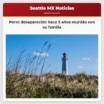 Perro desaparecido hace 5 años reunido con su familia