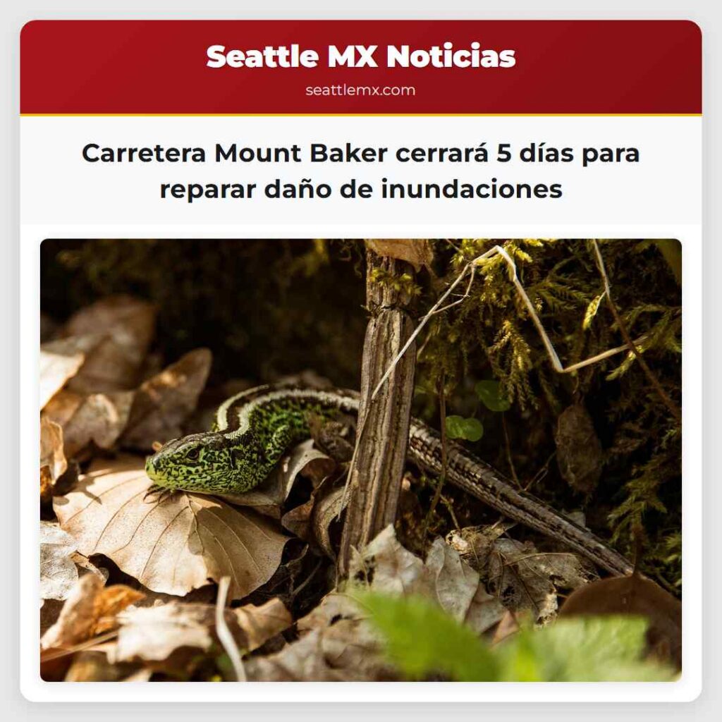 Carretera Mount Baker cerrará 5 días para reparar