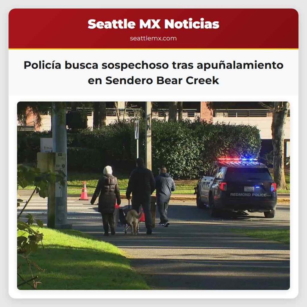Noticias De Seattle 6 Policía busca sospechoso tras apuñalamiento en