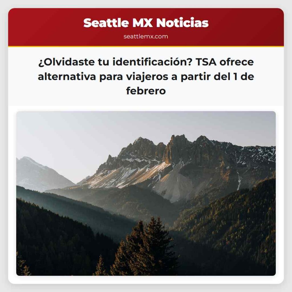 ¿Olvidaste tu identificación? TSA ofrece