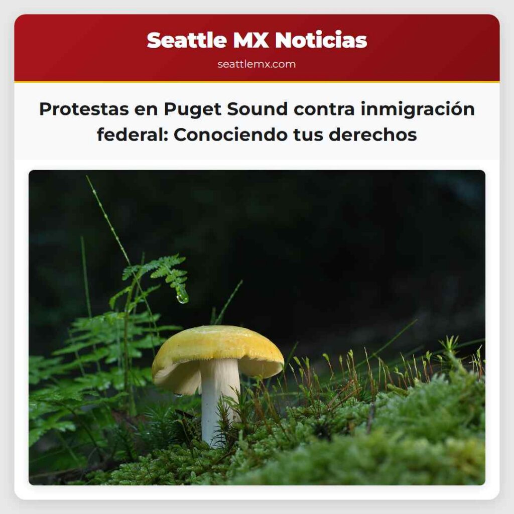 Protestas en Puget Sound contra inmigración