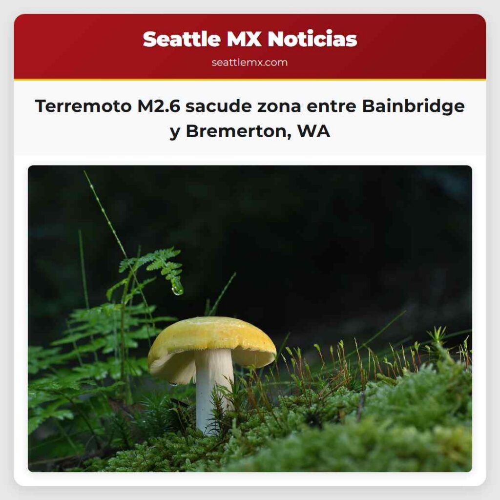 Terremoto M2.6 sacude zona entre Bainbridge y