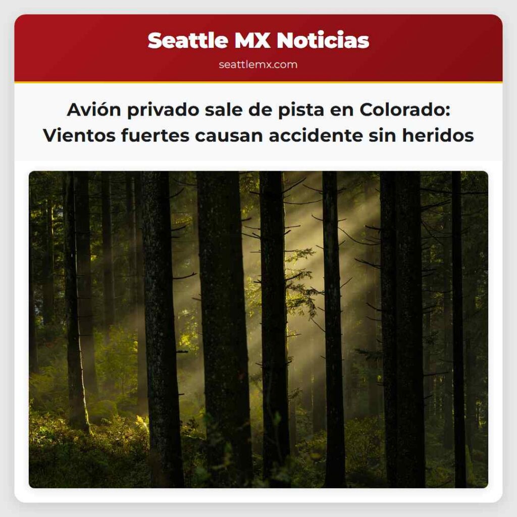 Avión privado sale de pista en Colorado: Vientos