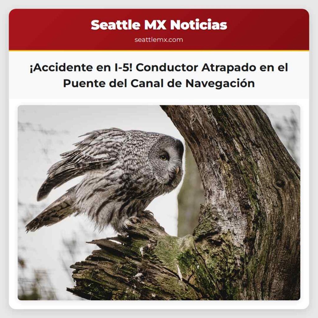 ¡Accidente en I-5! Conductor Atrapado en el