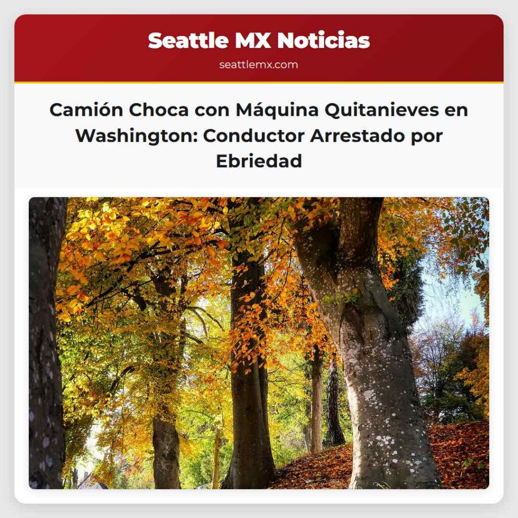 Camión Choca con Máquina Quitanieves en