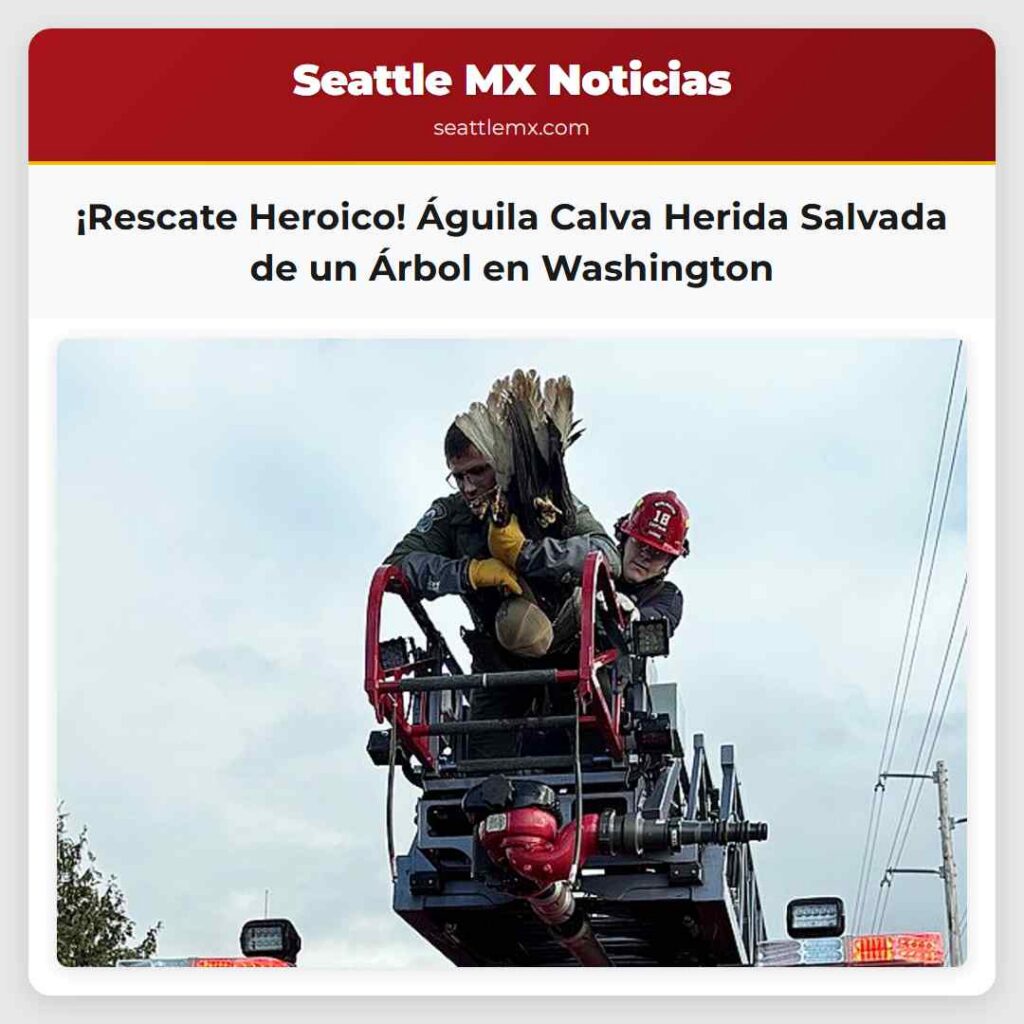 ¡Rescate Heroico! Águila Calva Herida Salvada de