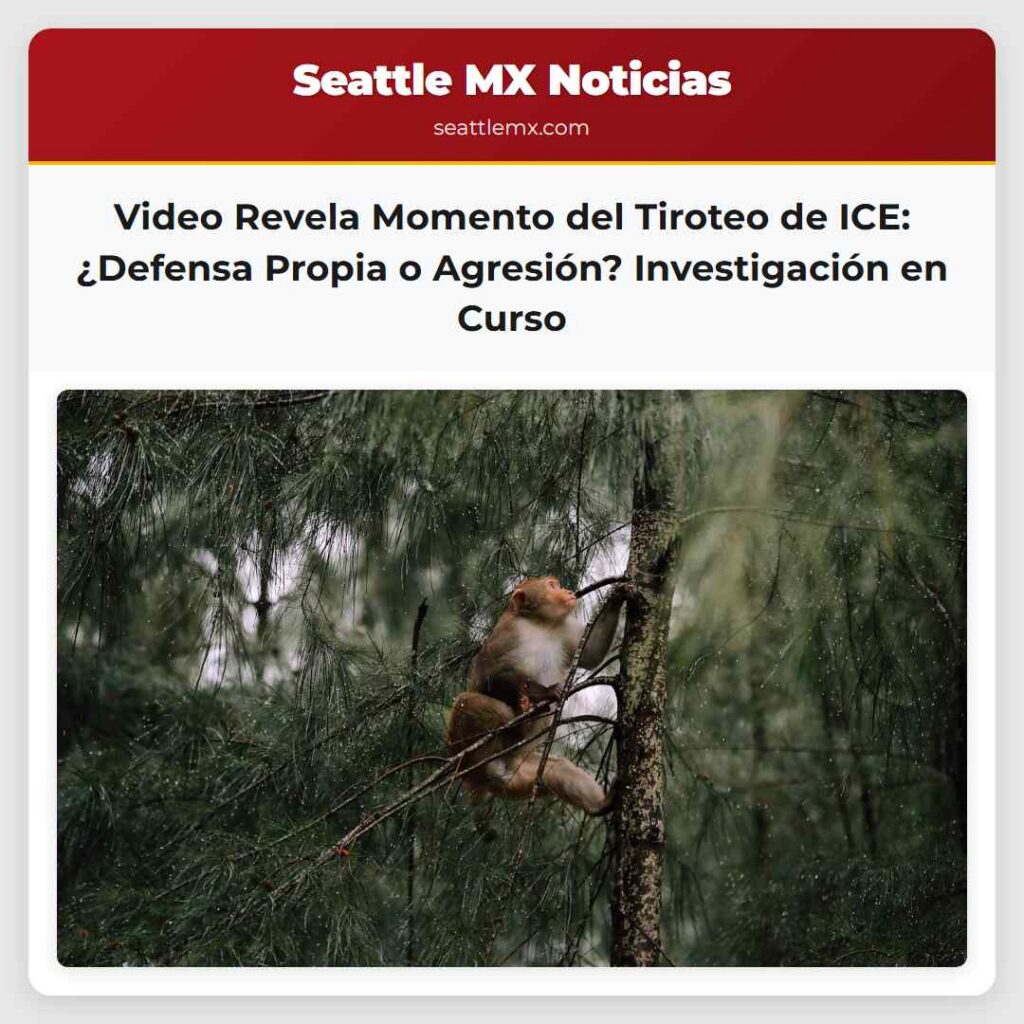 Video Revela Momento del Tiroteo de ICE: ¿Defensa