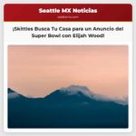 Skittles Podría Enviar a Elijah Wood a Su Hogar para un Anuncio del Super Bowl