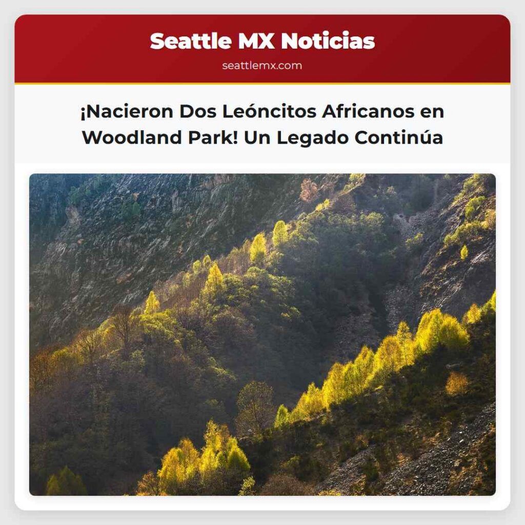 ¡Nacieron Dos Leóncitos Africanos en Woodland