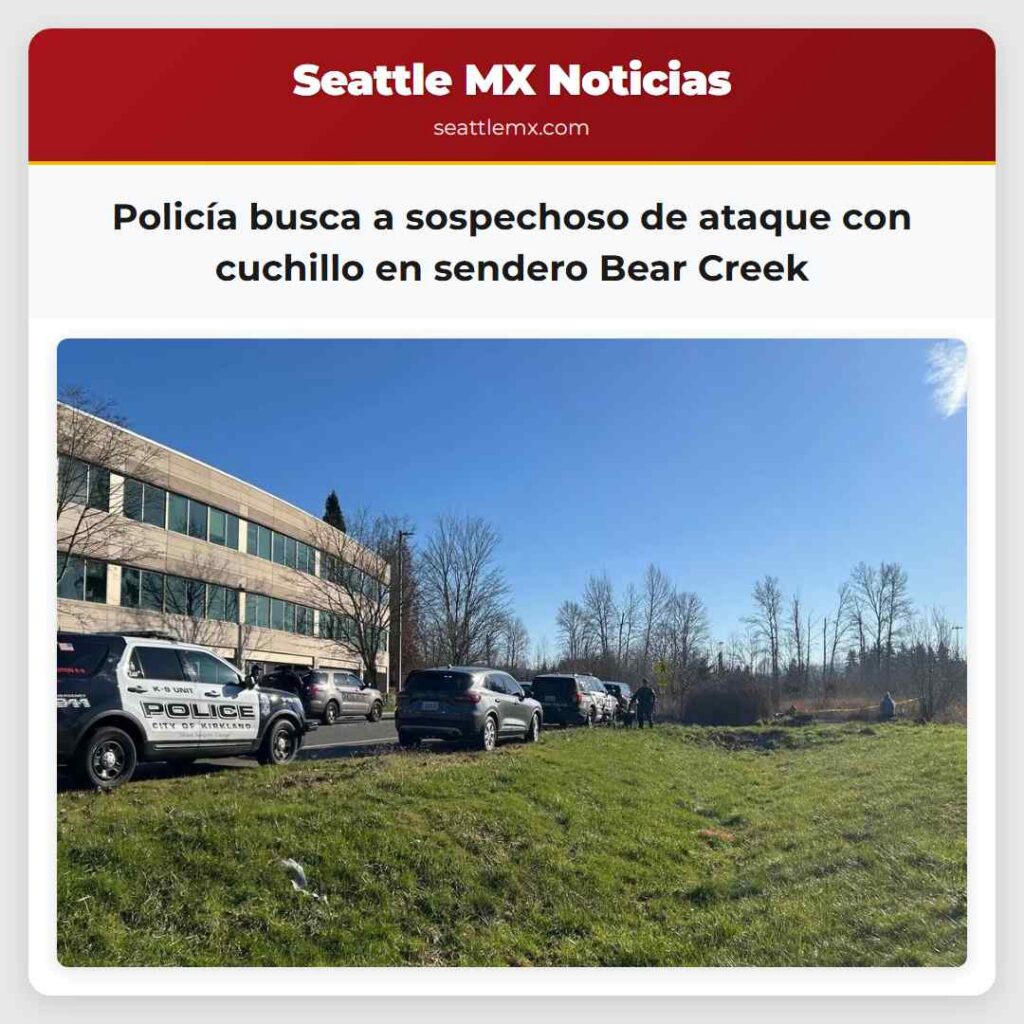 Policía busca a sospechoso de ataque con cuchillo