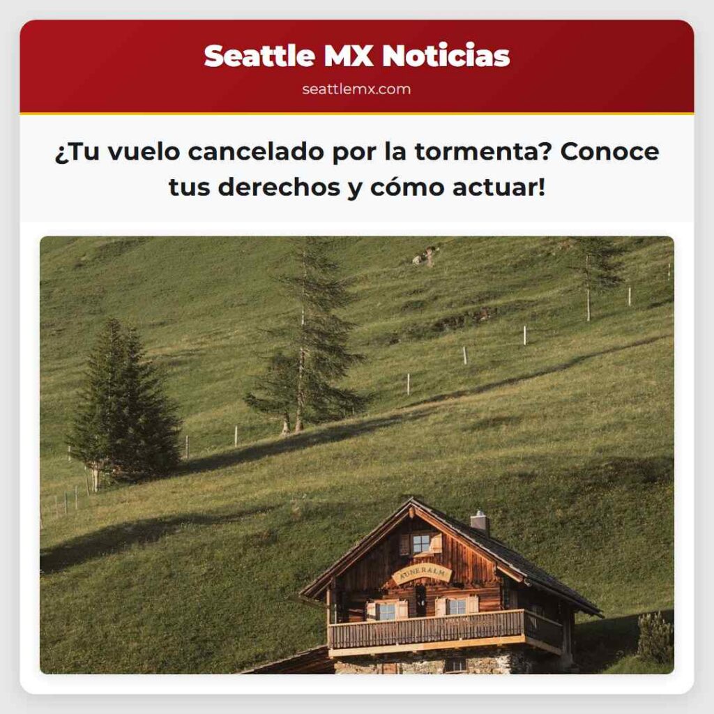 ¿Tu vuelo cancelado por la tormenta? Conoce tus