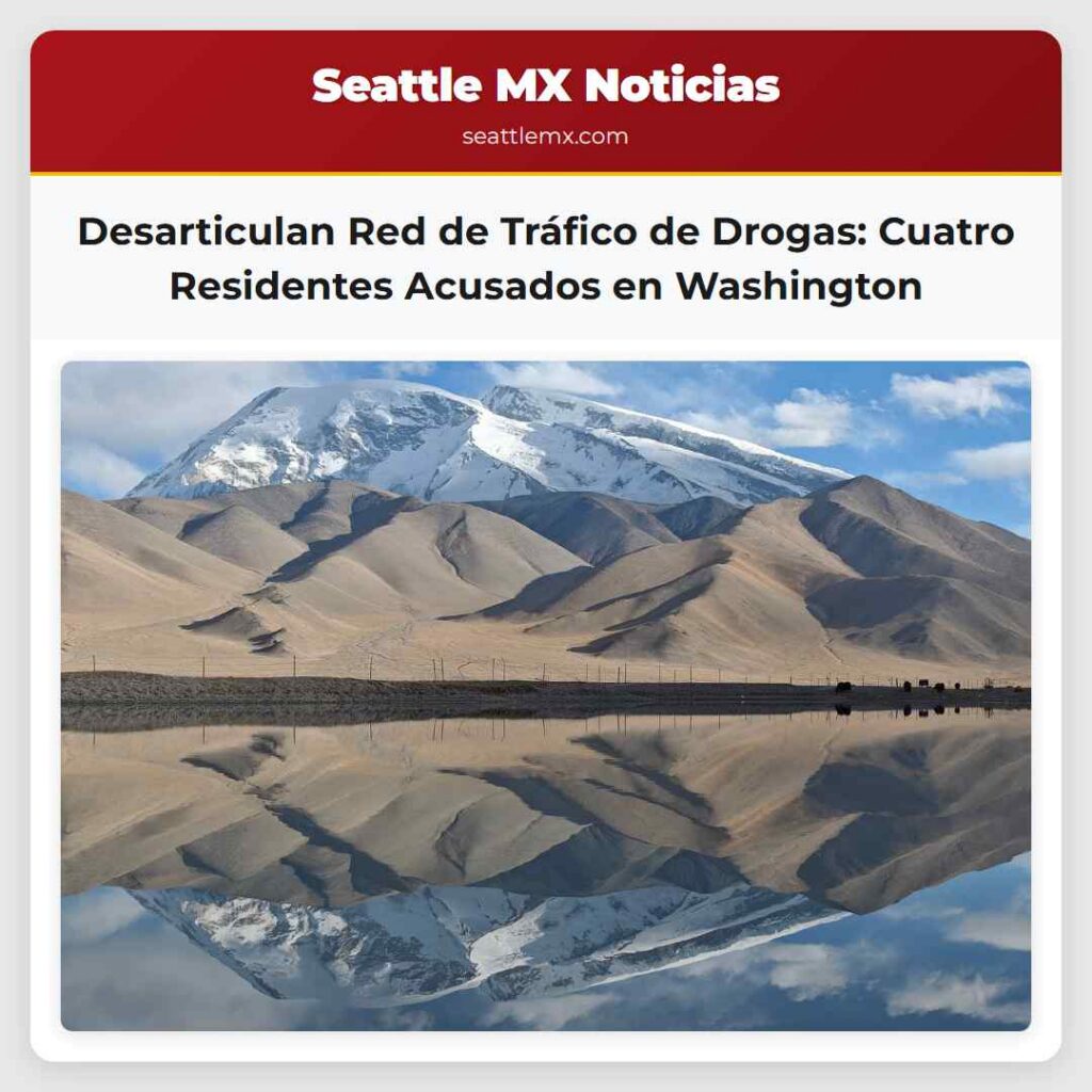 Desarticulan Red de Tráfico de Drogas: Cuatro