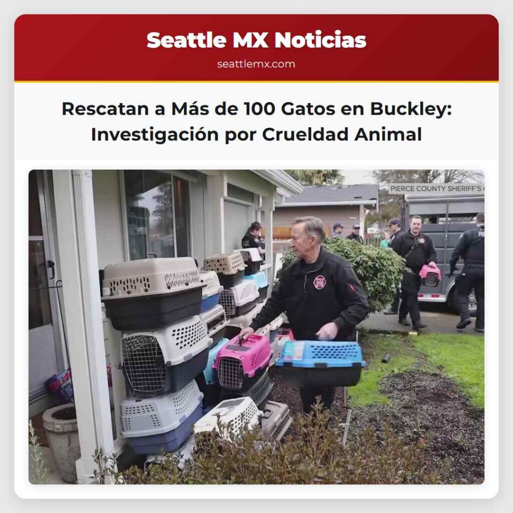 Rescatan a Más de 100 Gatos en Buckley: