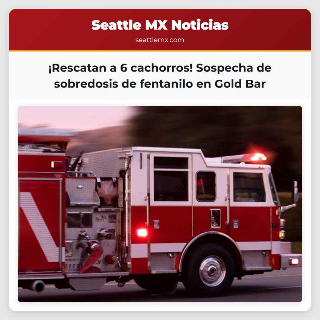 ¡Rescatan a 6 cachorros! Sospecha de sobredosis