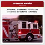 Rescatan a seis cachorros de una presunta sobredosis de fentanilo cerca de Gold Bar