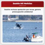 Seattle solicita el rechazo de la apelación por la protección de orcas suscitando preocupación por los Southern Resident