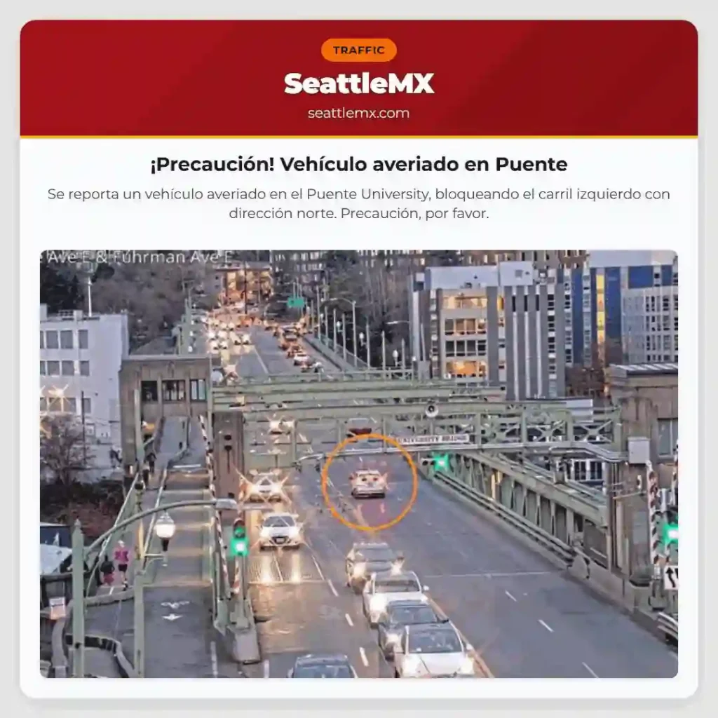 ¡Precaución! Vehículo averiado en Puente
