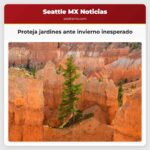 Es urgente proteger sus jardines ante la llegada inesperada del invierno