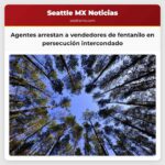 Agentes de la sheriffs office arrestan a vendedores de fentanilo tras persecución intercondado