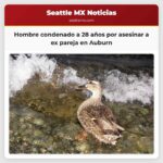 Un hombre fue condenado a más de 28 años por matar a su ex pareja en Auburn