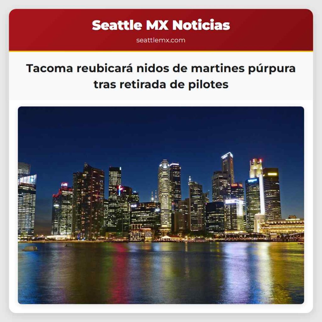 Tacoma reubicará nidos de martines púrpura tras