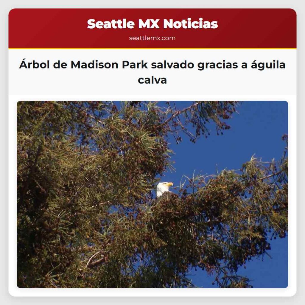 Árbol de Madison Park salvado gracias a águila