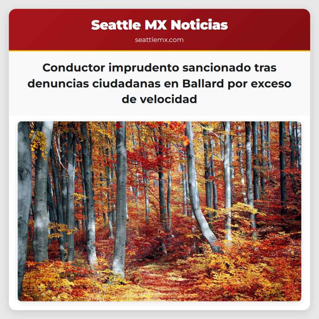 Conductor imprudento sancionado tras denuncias