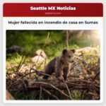 Victima fallecida encontrada en incendio de casa en Sumas