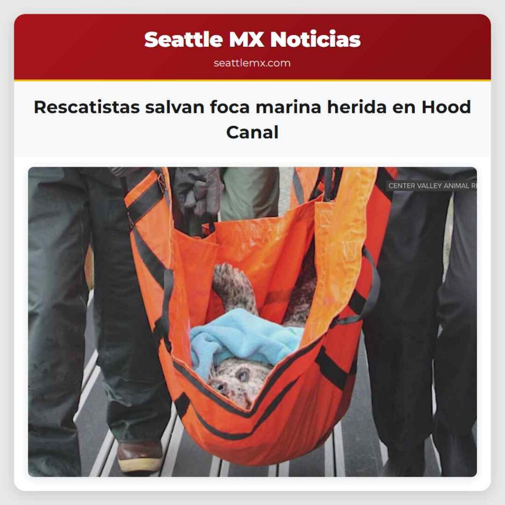 Rescatistas salvan foca marina herida en Hood