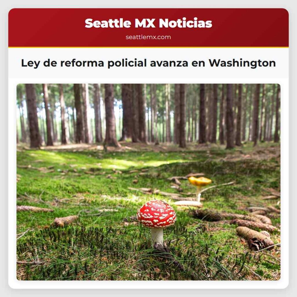 Ley de reforma policial avanza en Washington