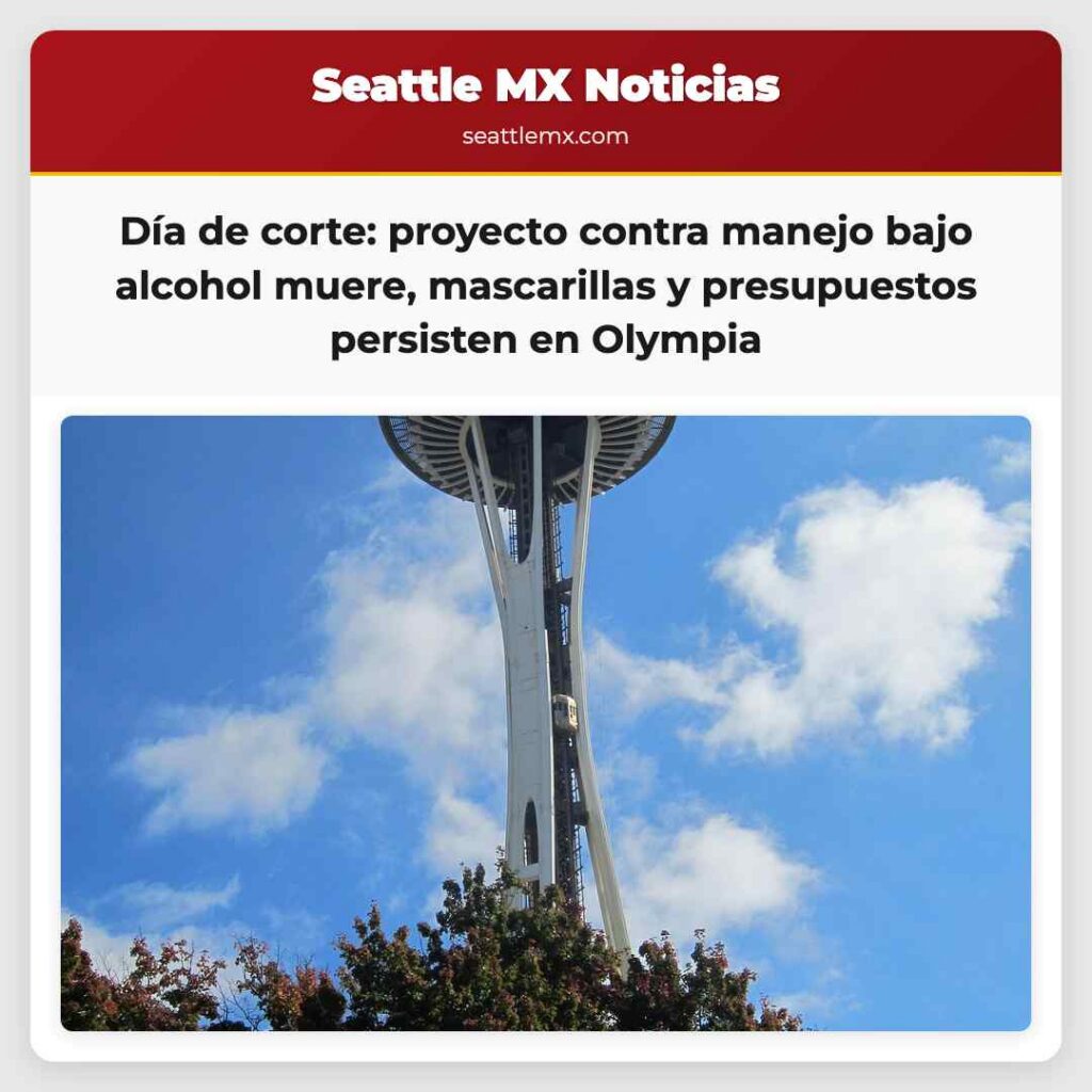 Día de corte: proyecto contra manejo bajo alcohol