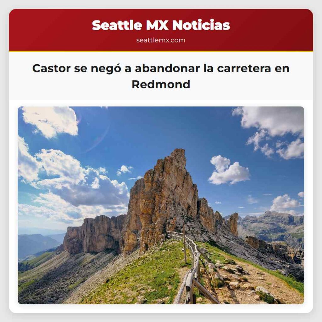 Castor se negó a abandonar la carretera en Redmond