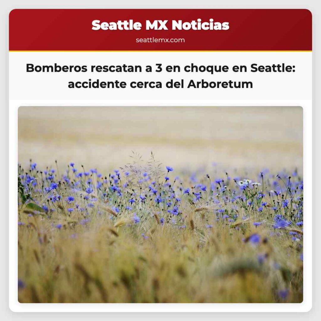 Bomberos rescatan a 3 en choque en Seattle: