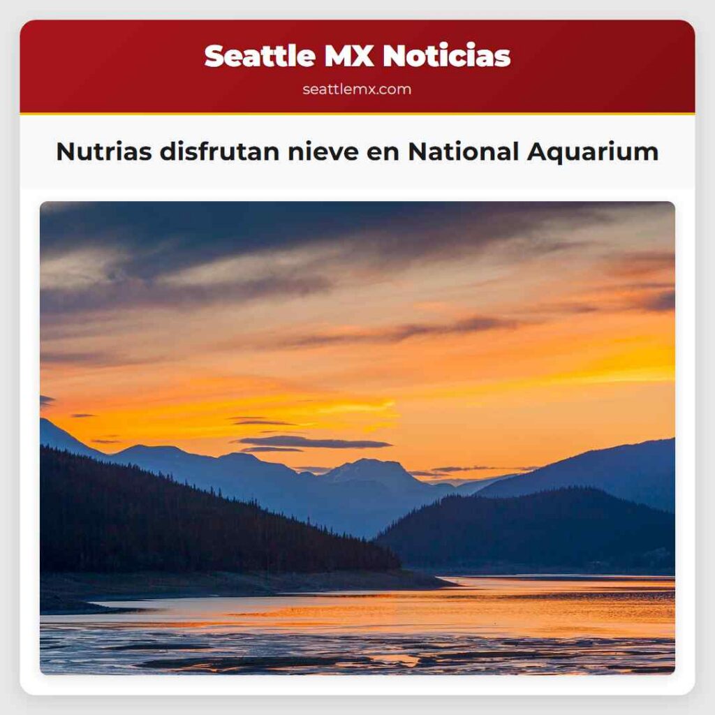 Nutrias disfrutan nieve en National Aquarium