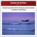 El Senado de Washington aprueba la Alerta Púrpura para localizar rápidamente a adultos vulnerables y personas con discapacidades